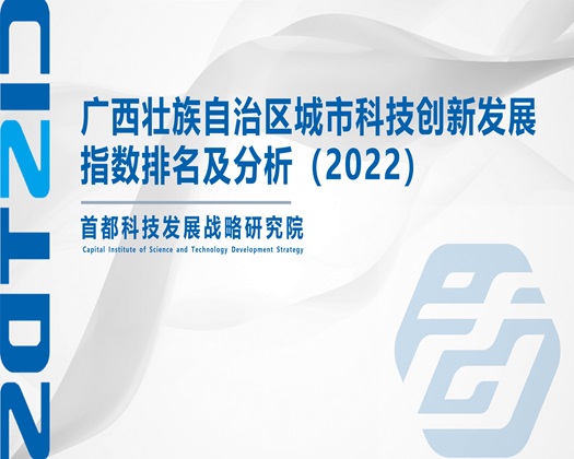 国产屄痒操屄网【成果发布】广西壮族自治区城市科技创新发展指数排名及分析（2022）